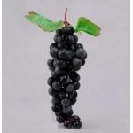 Виноград FR004 черный