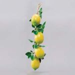Лимоны в связке FR014